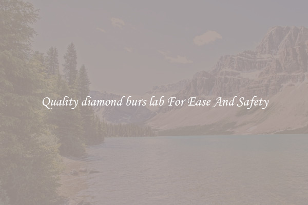 Quality diamond burs lab For Ease And Safety