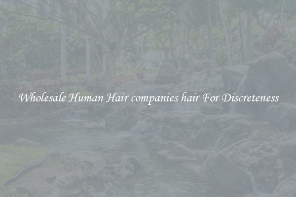 Wholesale Human Hair companies hair For Discreteness