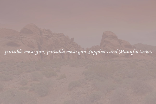 portable meso gun, portable meso gun Suppliers and Manufacturers