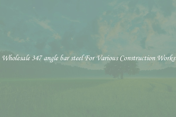 Wholesale 347 angle bar steel For Various Construction Works