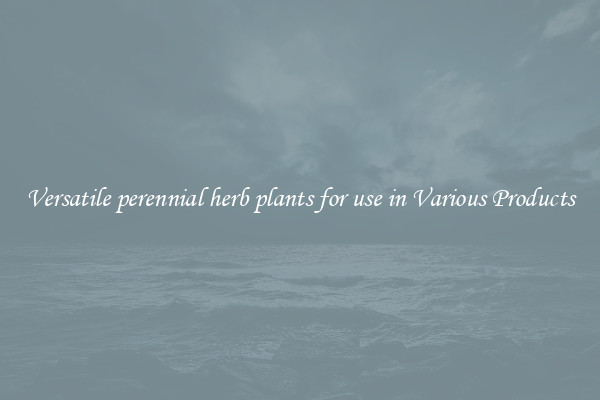 Versatile perennial herb plants for use in Various Products