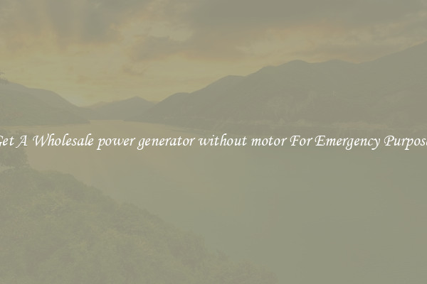 Get A Wholesale power generator without motor For Emergency Purposes