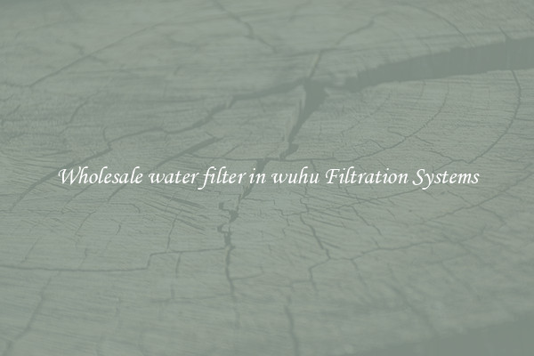 Wholesale water filter in wuhu Filtration Systems