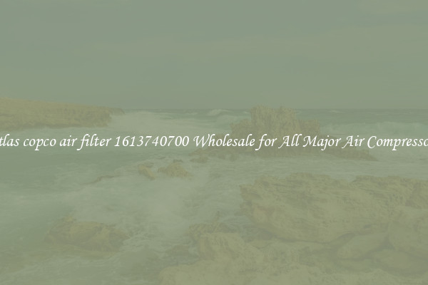 atlas copco air filter 1613740700 Wholesale for All Major Air Compressors
