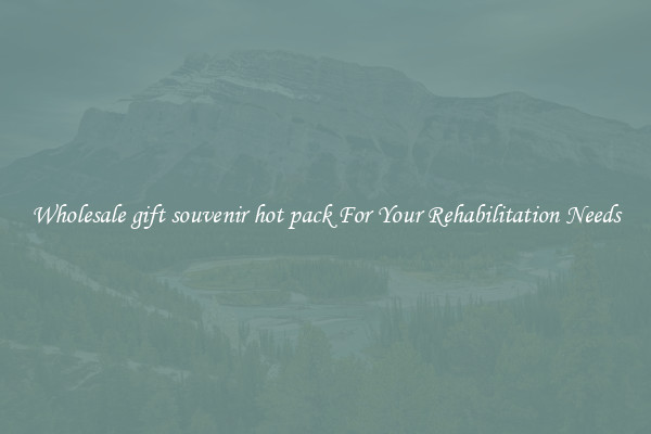 Wholesale gift souvenir hot pack For Your Rehabilitation Needs