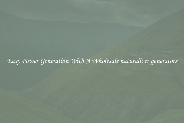 Easy Power Generation With A Wholesale naturalizer generators