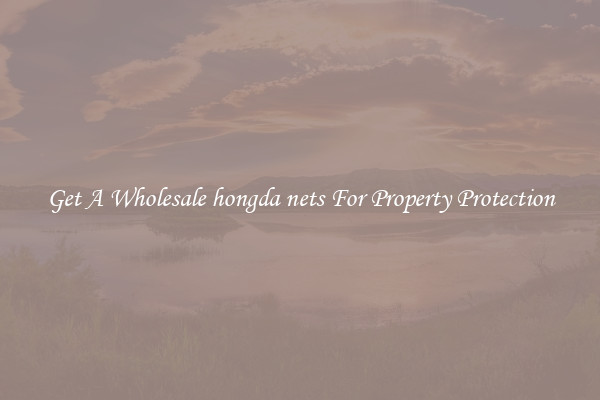 Get A Wholesale hongda nets For Property Protection