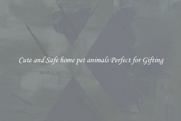 Cute and Safe home pet animals Perfect for Gifting