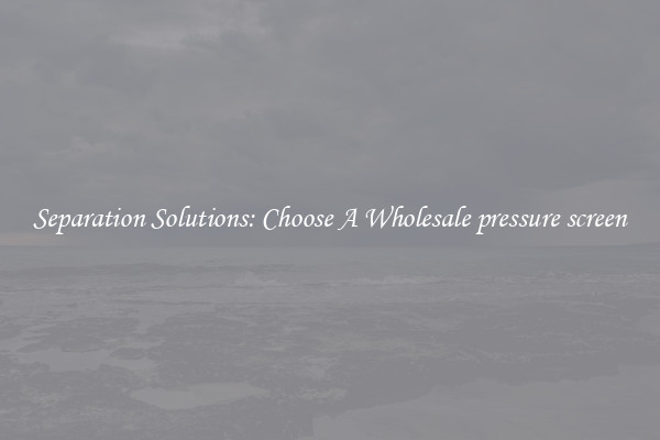 Separation Solutions: Choose A Wholesale pressure screen