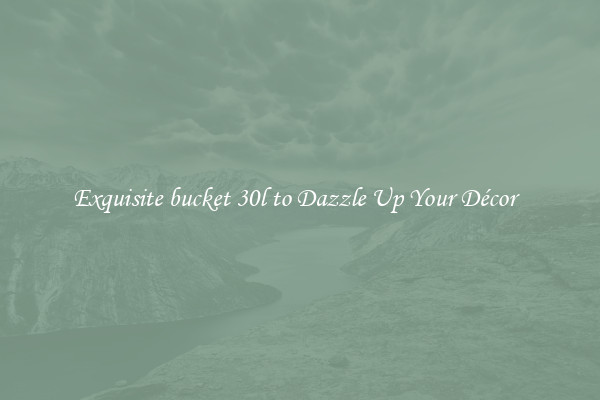 Exquisite bucket 30l to Dazzle Up Your Décor  