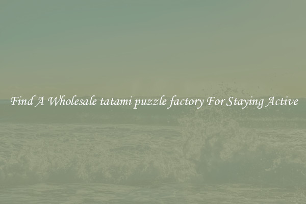 Find A Wholesale tatami puzzle factory For Staying Active