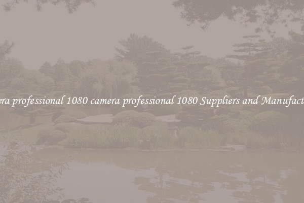 camera professional 1080 camera professional 1080 Suppliers and Manufacturers