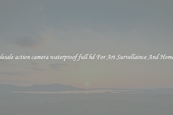Wholesale action camera waterproof full hd For Art Survellaince And Home Use