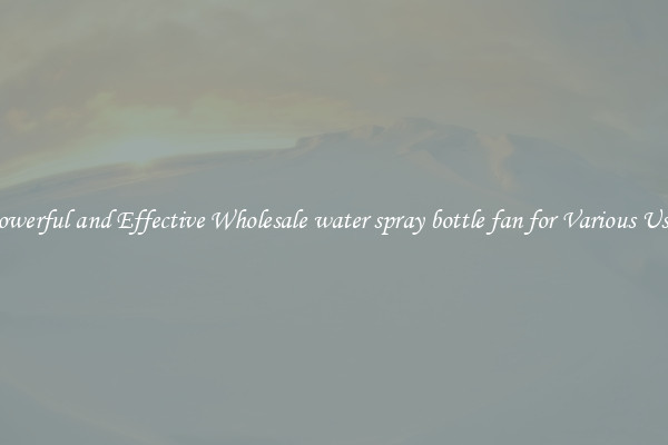 Powerful and Effective Wholesale water spray bottle fan for Various Uses