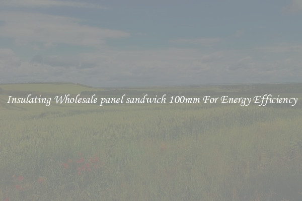 Insulating Wholesale panel sandwich 100mm For Energy Efficiency