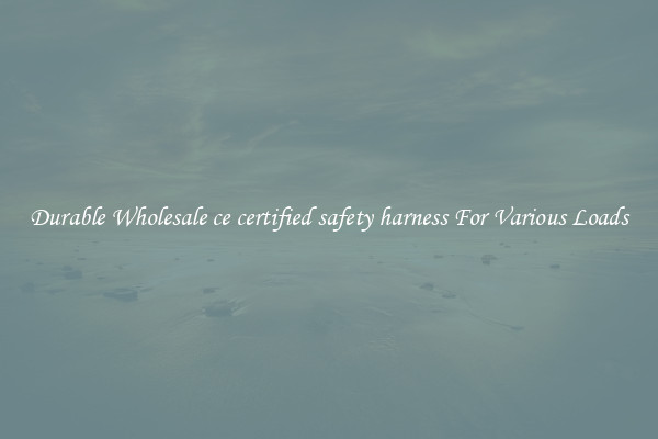 Durable Wholesale ce certified safety harness For Various Loads