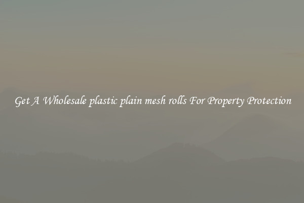 Get A Wholesale plastic plain mesh rolls For Property Protection